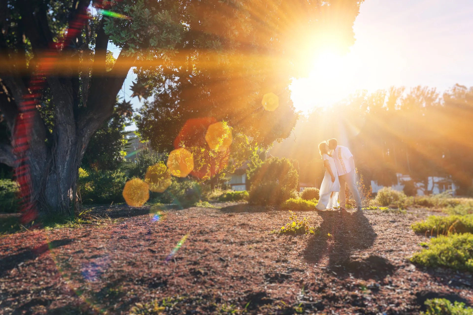 Bride and groom embracing under a golden-hour sunburst beneath an old oak